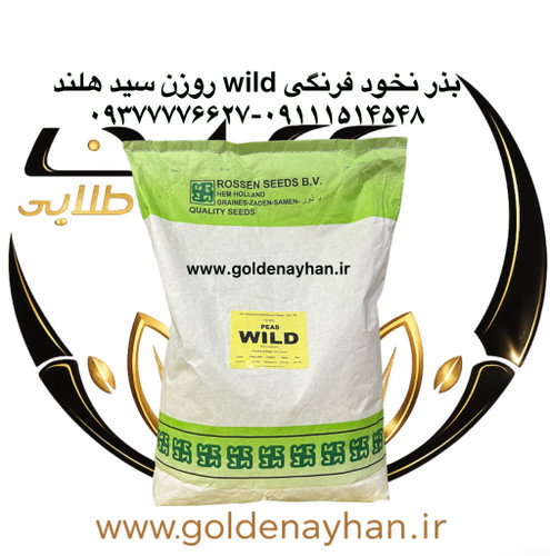 بذر نخود فرنگی ولف ( WILD- وایلد)روزن سید هلند ۱۰ کیلویی