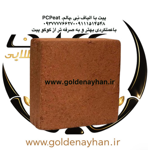 پی سی پیت (کوکوپیت) تک قالب