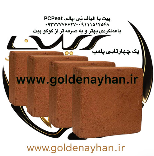 پی سی پیت (کوکوپیت) پک ۴ قالبی